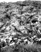 Klik za večjo sliko